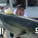 황금낚시 이미지