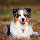 윤진약국 이미지