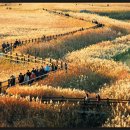 장군산한우 이미지