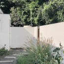 무라소원 이미지