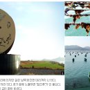 [결혼/웨딩홀]장흥 김 _ 겨울 바다의 향 이미지