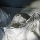 조용한아침 이미지