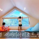 새재리아 이미지