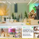 골든스웨터 캐터리 이미지