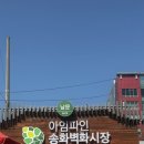 티-나네! | 우장산 송화시장 맛집 이모저모,헌혈 일상