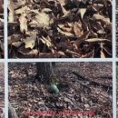 공존 예술창작 스튜디오 이미지