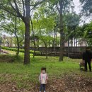 서인공원 이미지