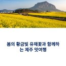 산방산의봄 | 제주 흑돼지 찐맛집 어디? 산방산 유채꽃 근처 1등 후기 정리!