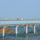 둥둥목장 이미지