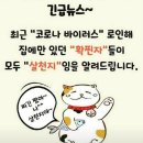 경희대파워점핑줄넘기 이미지