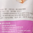 나나비펫 이미지