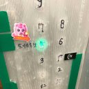 제이디아울렛 이미지