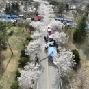 봄을 그리다 이미지