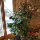 낭주농장 이미지