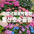 한금의료기 | 비 오는 날 더 좋은 일산 호수공원 고양 꽃박람회 후기