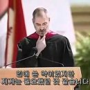 봉평메밀원 이미지