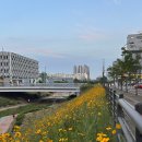 플레이랜드 이미지