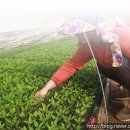 밀알약국 이미지