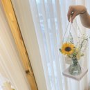 상남동266 이미지