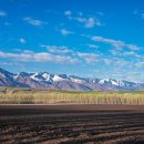 신강농장 이미지