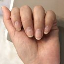 네일하는미어캣