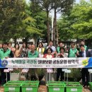 안룡초교 이미지