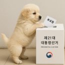 상계9동주민센터 다용도방(2층) | 서울 노원구 상계동 2025 대선 사전투표소 장소 현황 | 상계1~10동 주민센터, 노원구청