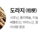 만수강