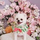 그루밍샵 0105 이미지