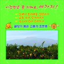 효돈동-3 이미지