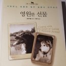 다사랑동물병원 이미지