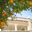 꿈의별장 이미지