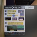 버디버디24시 네이버블로그