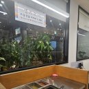 백제추어탕 | 백제추어탕 (발산맛집 내돈내산 솔직후기)