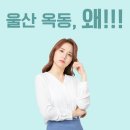 울산신정현수막 이미지