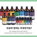 이너시스템