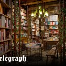 LOVELY DAY'S GROOMING 이미지