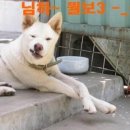 표정