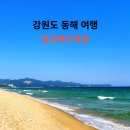 망상해수욕장 시설주차장주변 | 일출 해돋이 명소 동해 겨울바다 여행 망상해수욕장 조용한 바다 산책