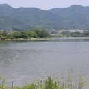 용인시 처인구 원삼면 사암리 용담저수지 2010.06 이미지