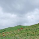 한구목장 이미지