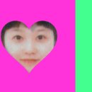 콩과하 이미지