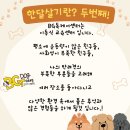 BG독케어센터 이미지