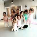 도안더에이치발레학원 이미지