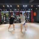 조대팀맥 이미지