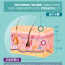 스킨영의원 이미지