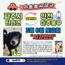 콩떡/3월8일 시간협의/파주탄현＞인천미추홀＞파주탄현 이미지