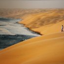 나미브(NAMIB) 이미지