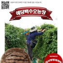황정농장 Daum카페