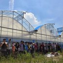 호우농장 이미지